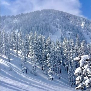 Meet your Posher, Ari